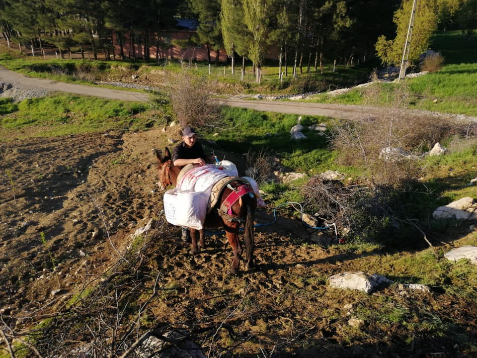 Eşek Sırtında Su Taşıyorlar