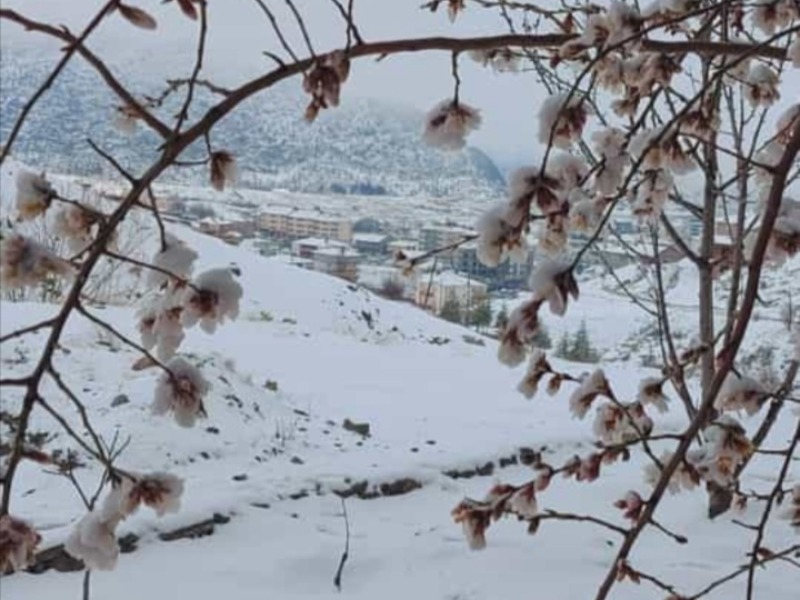 Sincik kara teslim oldu