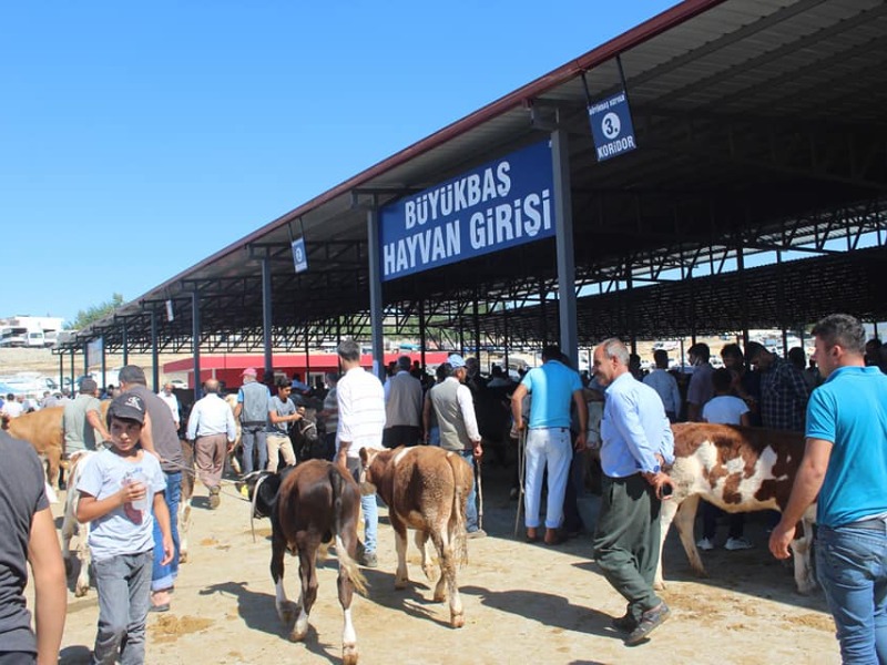Başkan Turanlı sözünü tuttu