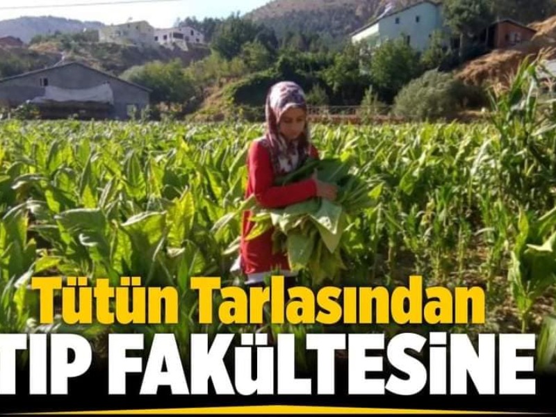 Tütün Tarlasından Tıp Fakültesine